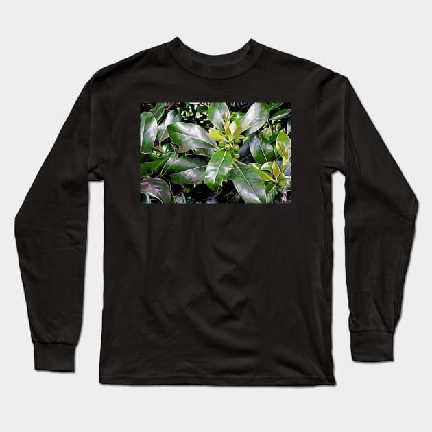 Holly Leaves Long Sleeve T-Shirt by Colin-Bentham